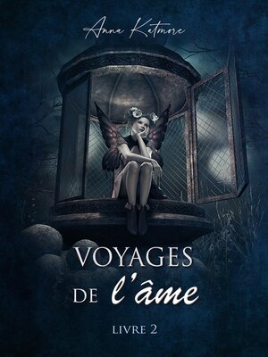 cover image of Voyages de l'âme, livre 2